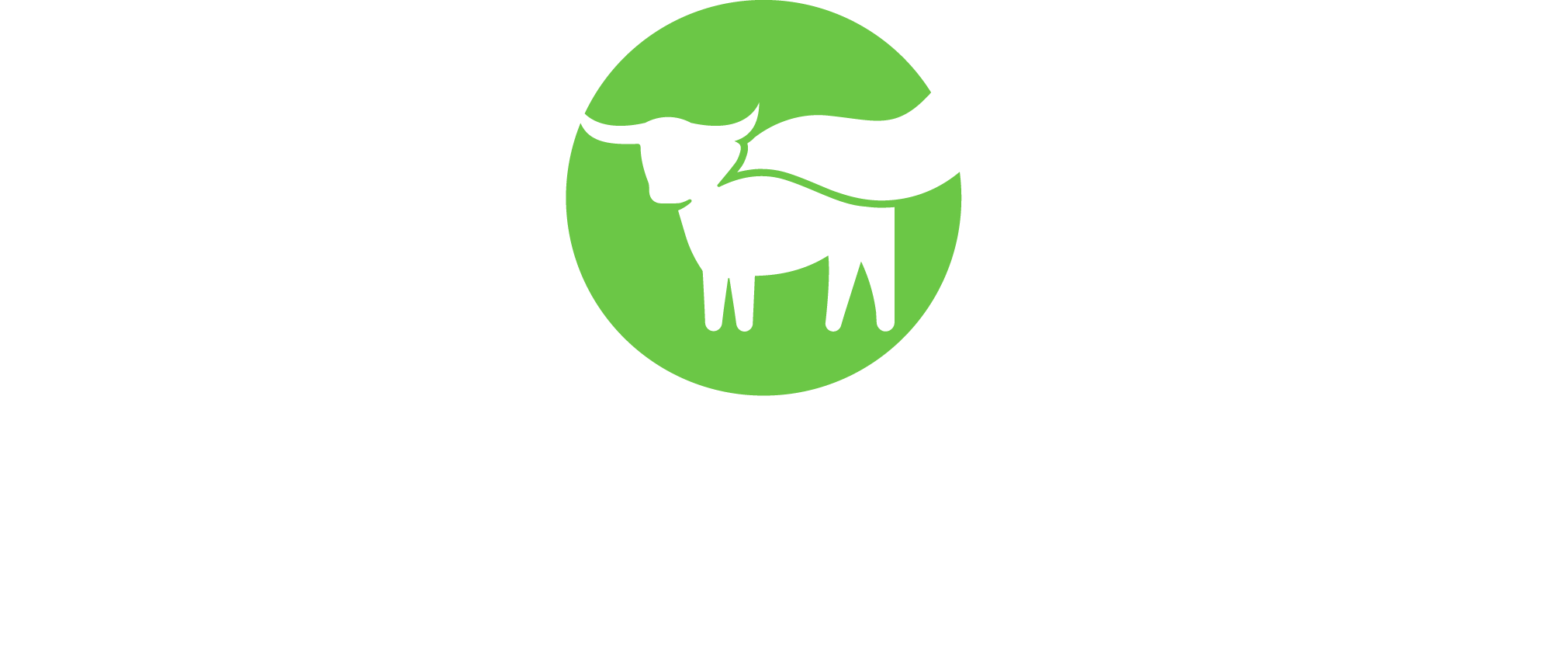 Beyond Meat