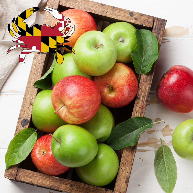 Apples