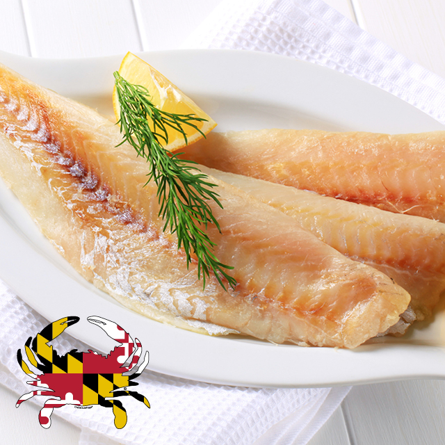 Local Maryland Blue Catfish