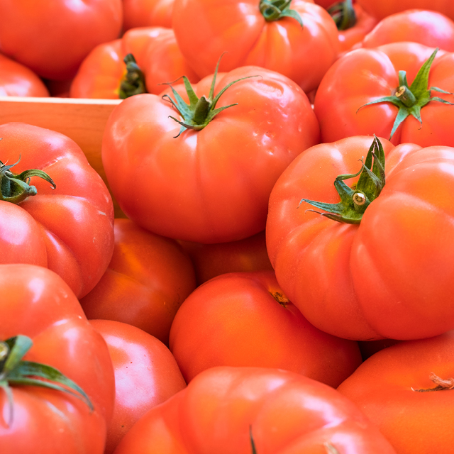 Locally Grown Tomatoes