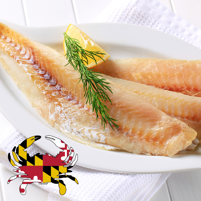 Local Maryland Blue Catfish Fillet 