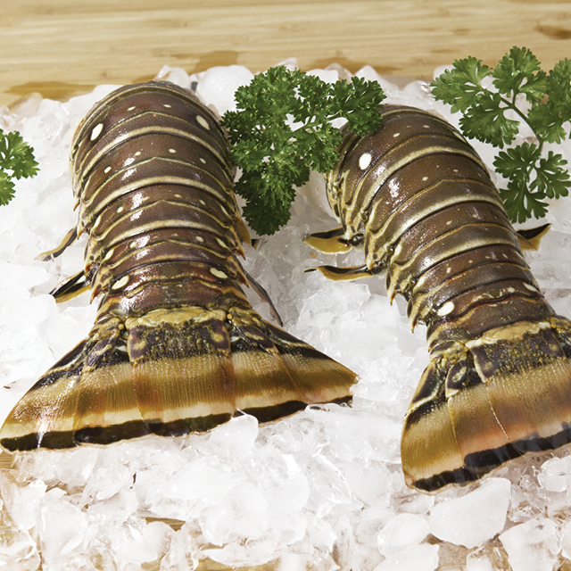 Large Lobster Tails 