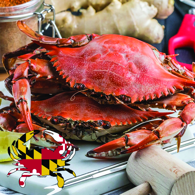 Live or Steamed Local Maryland #1 Male Medium/Large Mixed Crabs 