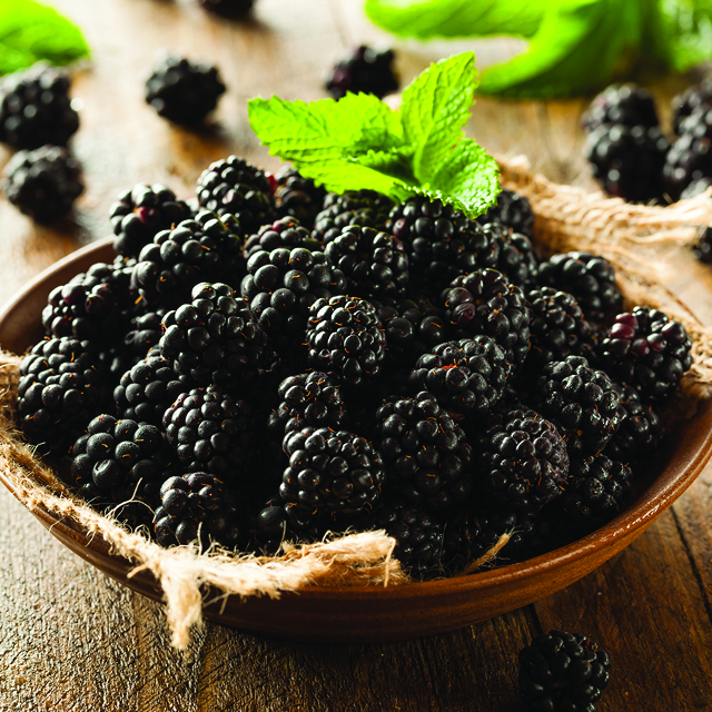 Fresh Blackberries 