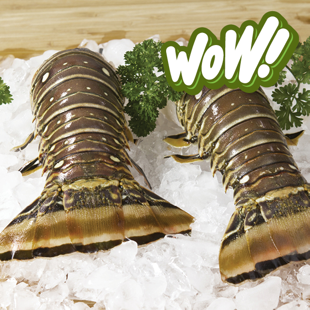 Large 4/5 oz Lobster Tails
