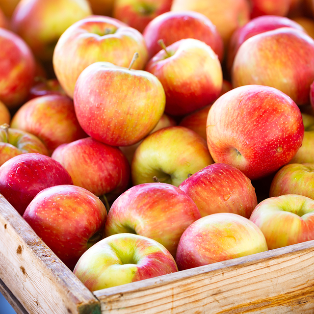 Honeycrisp Apples 