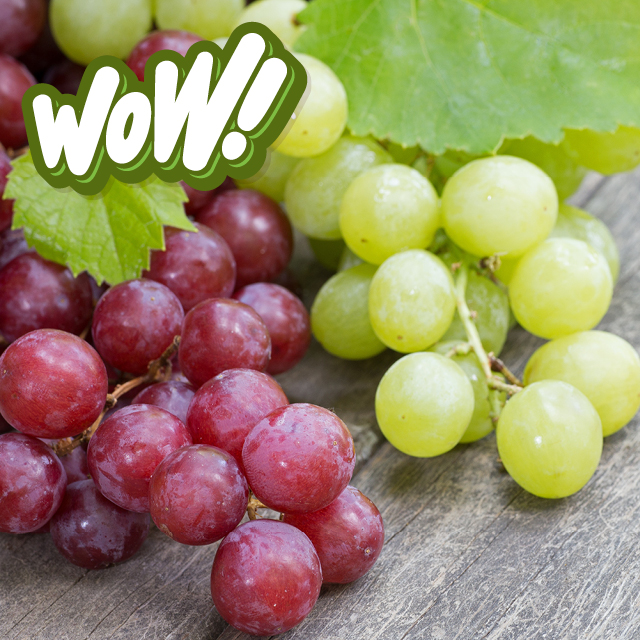 Red/White Grapes
