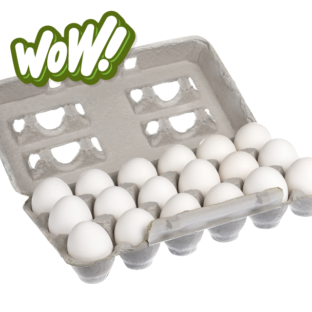 Martin's Large White Eggs 