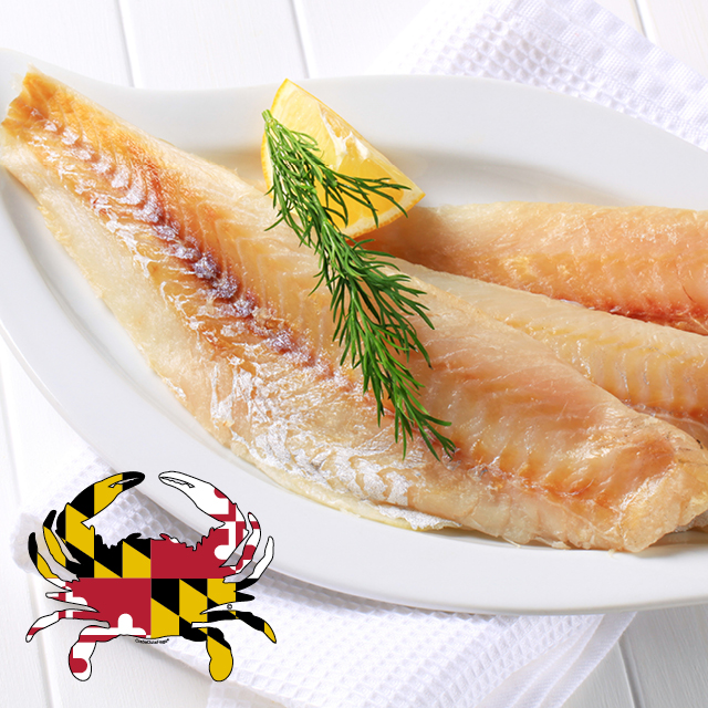 Local Maryland Blue Catfish Fillet 