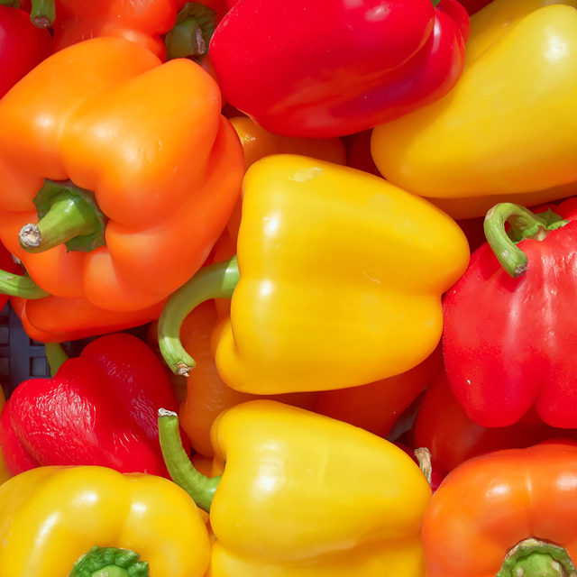 Red/Yellow/Orange Sweet Peppers 