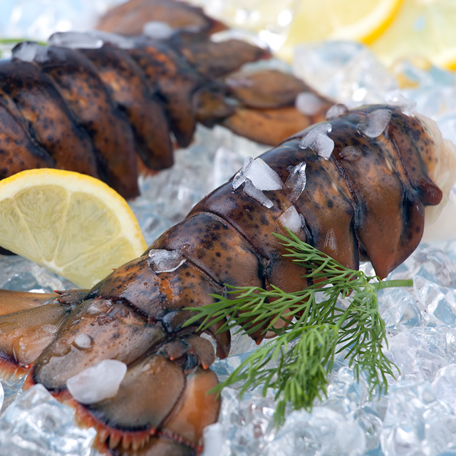 Wild Caught Large Lobster Tails 