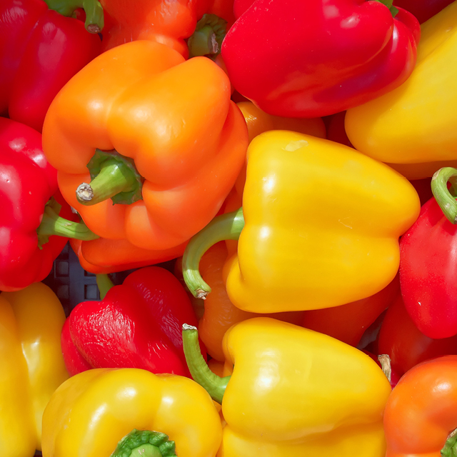 Red/Yellow/Orange Peppers 