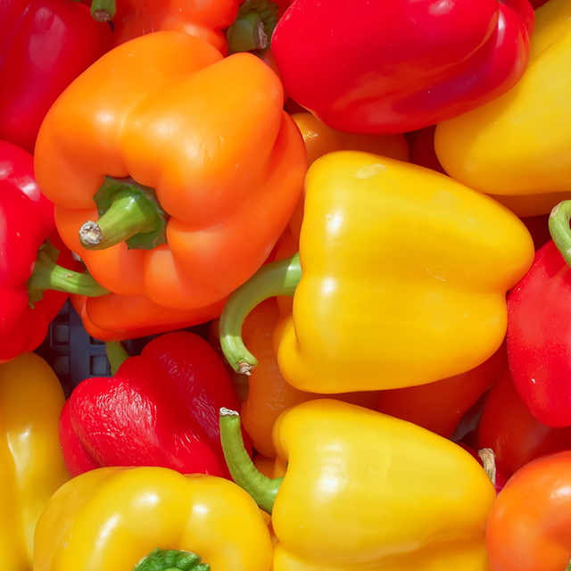 Red/Yellow/Orange Peppers 