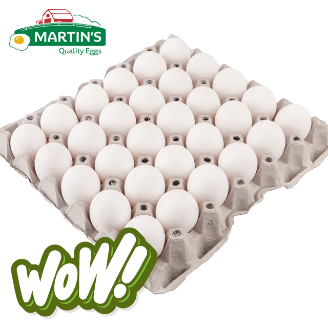 Martin's Large Eggs 