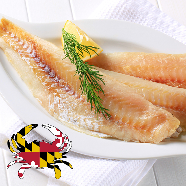 Wild Caught Fresh Local Maryland Blue Catfish Fillet