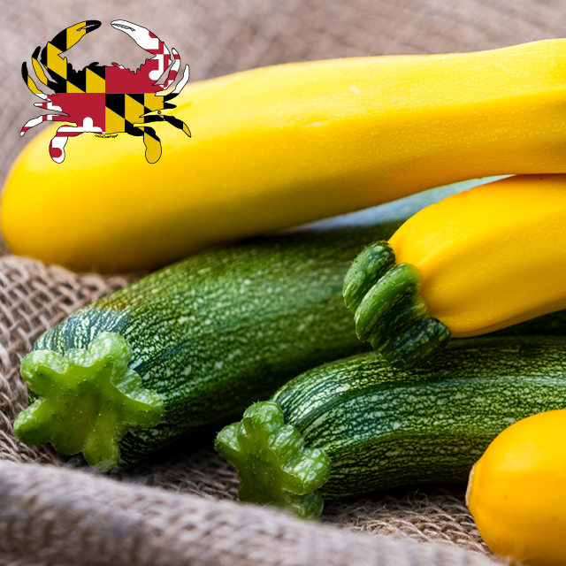 Locally Grown Green/Yellow Squash