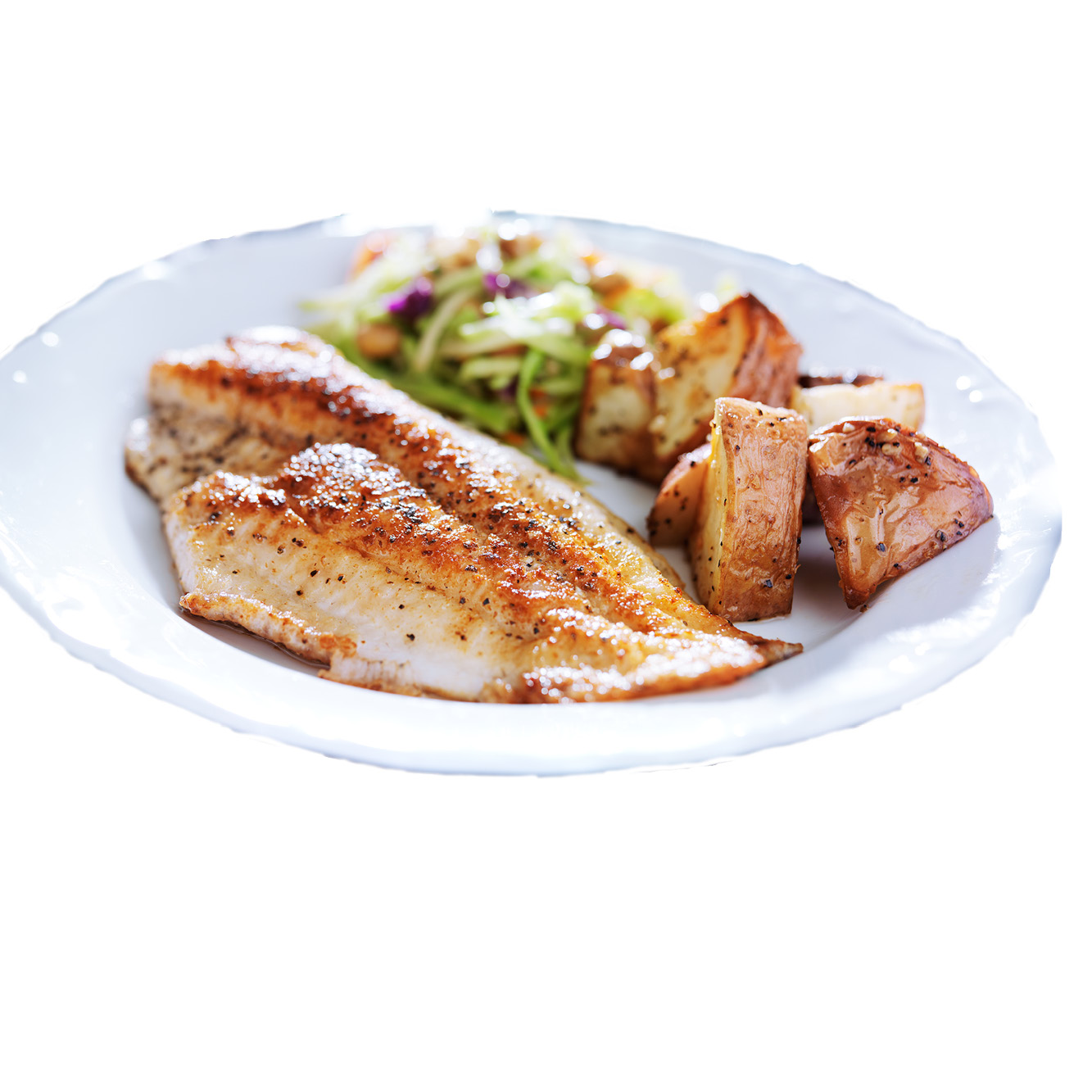 Farm Raised Fresh Tilapia Fillet 