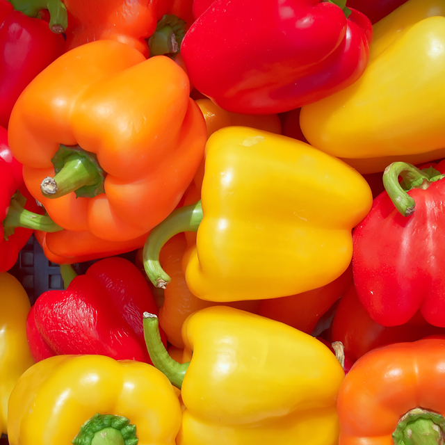 Fresh Sweet Red, Yellow or Orange Peppers